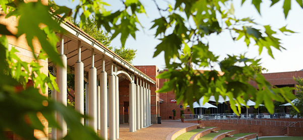 Grounds
