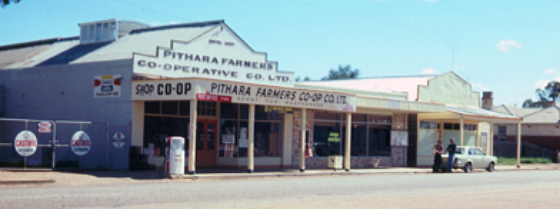 Geography at Curtin